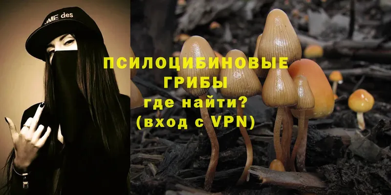 Галлюциногенные грибы MAGIC MUSHROOMS  купить  сайты  Анадырь 